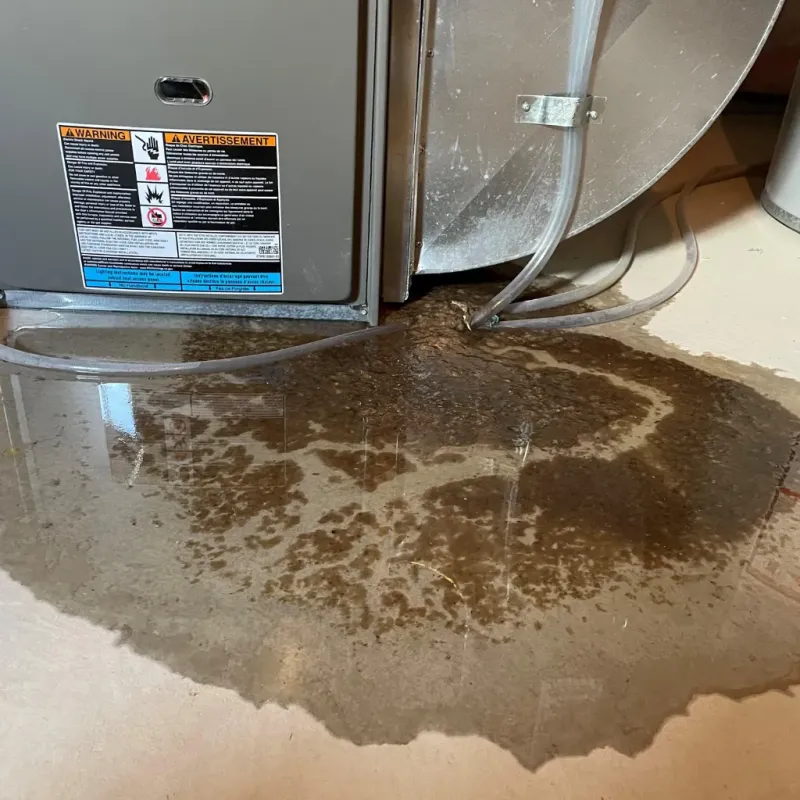 Appliance Leak Cleanup in Kalamazoo, MI