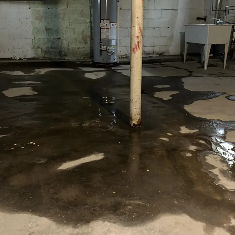 Emergency Water Extraction And Removal in Kalamazoo, MI